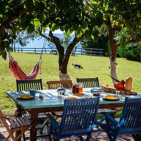 Beachfront Villa Meliti Ágios Matthaíos 外观 照片